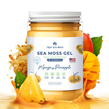 Load image into Gallery viewer, TrueSeaMoss Wildcrafted Irish Sea Moss Gel –7 Flavors- Nutritious Raw Seamoss Rich in Minerals, Proteins &amp; Vitamins – Antioxidant Health Supplement, Vegan Made in USA (Mango/Pineapple, 1)
